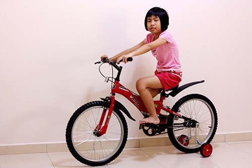 bike3b.jpg