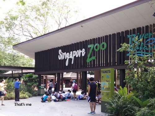 zoo